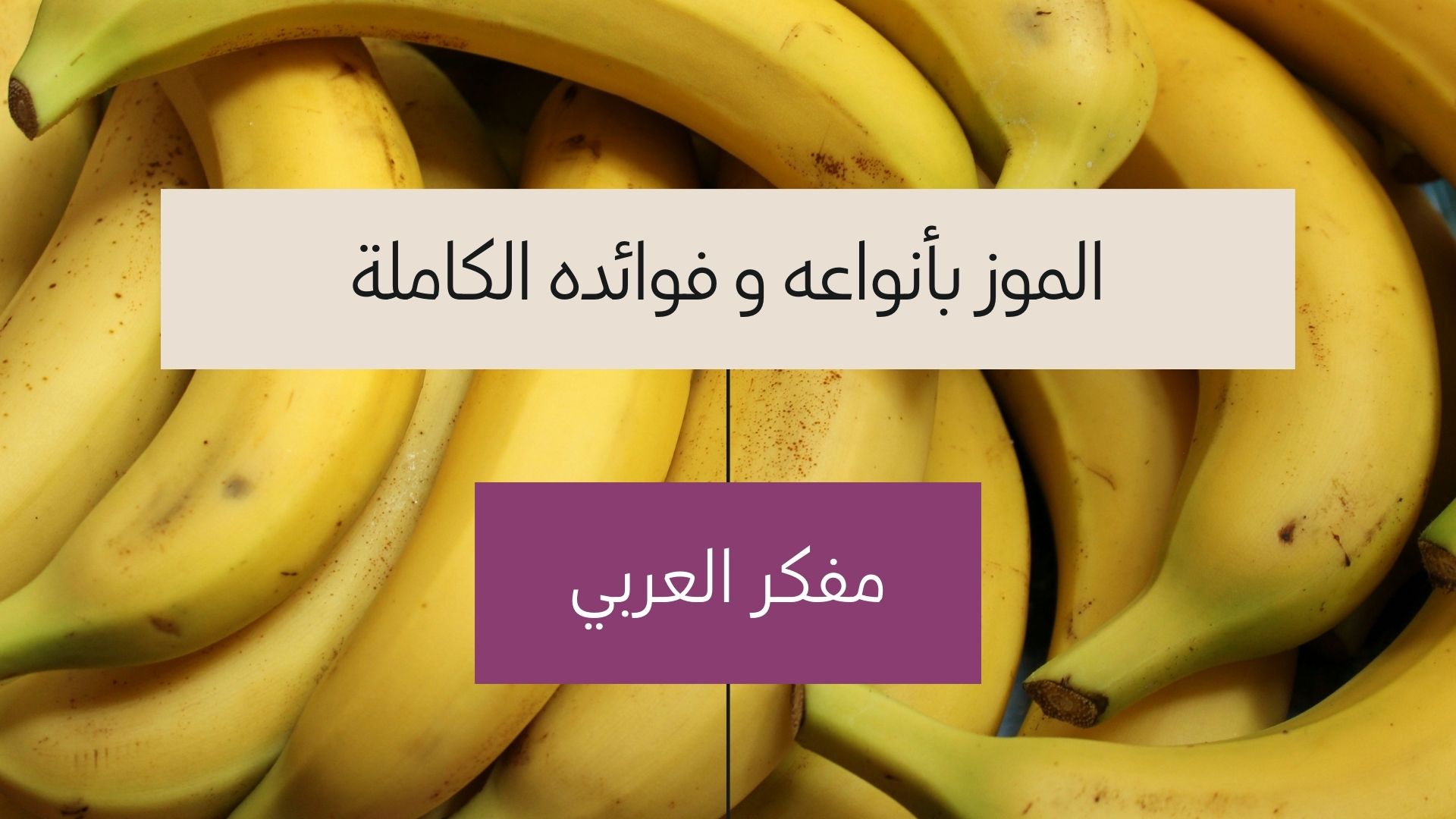 أنواع الموز و فوائده الكاملة