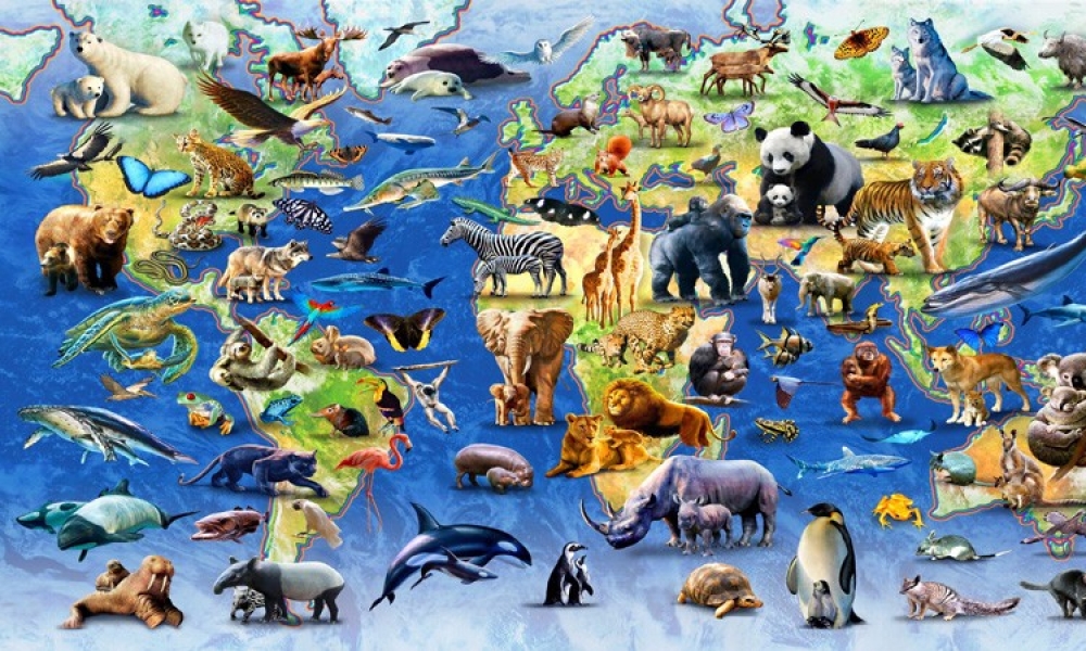 ماهي أطول الحيوانات عمراً على سطح الأرض ؟