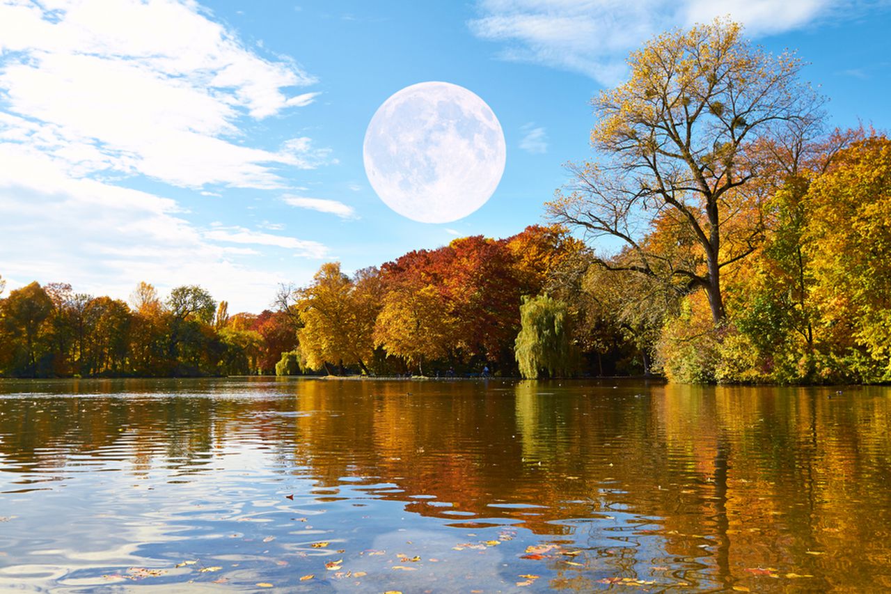القمر الوردي الكامل أو قمر القندس و خسوف القمر من أجمل الظواهر الفلكية التي من الممكن التمتمع بها في شهر نوفمبر ؟