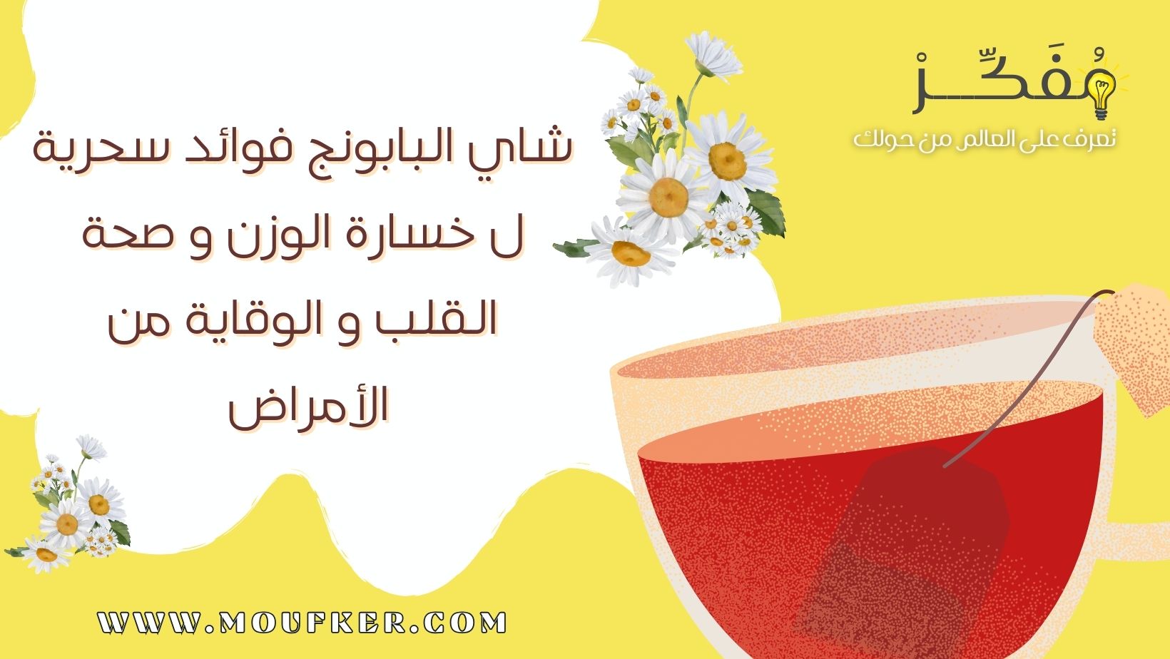 شاي البابونج فوائد سحرية ل خسارة الوزن و صحة القلب و الوقاية من الأمراض